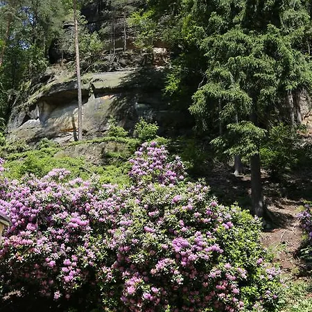 Waldhaus'l Semesterbostad Bad Schandau